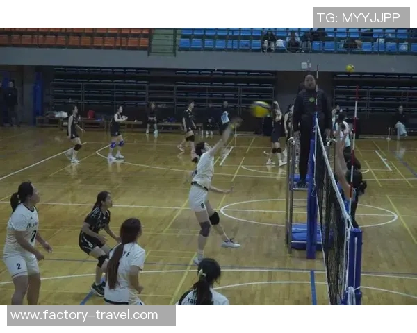 成都排球队的阵地战揭秘：深度解析排球技战术与团队协作的完美结合