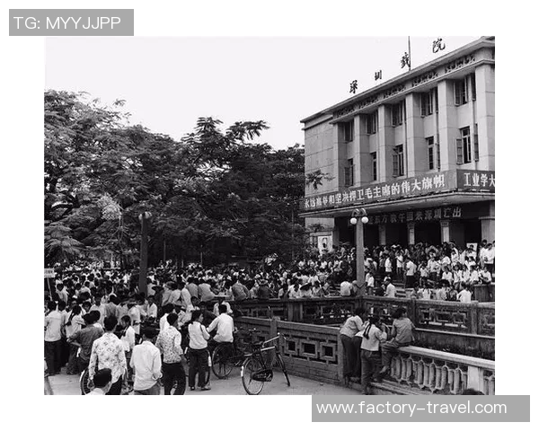 深圳乒乓球队的崛起之路与奋斗历程的深度剖析与回顾