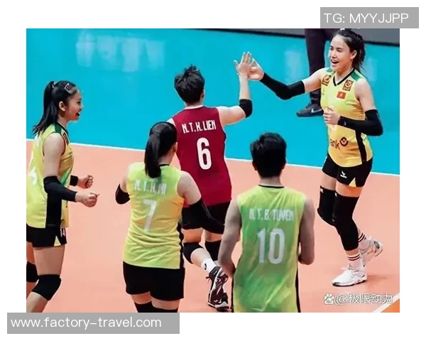 独家深度解析杭州排球队各队员实力对比及未来发展潜力 独家深度解析杭州排球队各队员实力对比及未来发展潜力