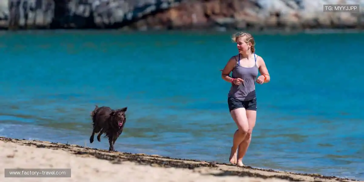 🏃 热血赛场,见证每一刻突破!